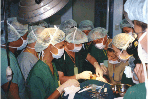 GS, TS Nguyễn Xuân Cương đang trình diễn kỹ thuật tạo má lúm đồng tiền tại Hội nghị Quốc tế tổ chức